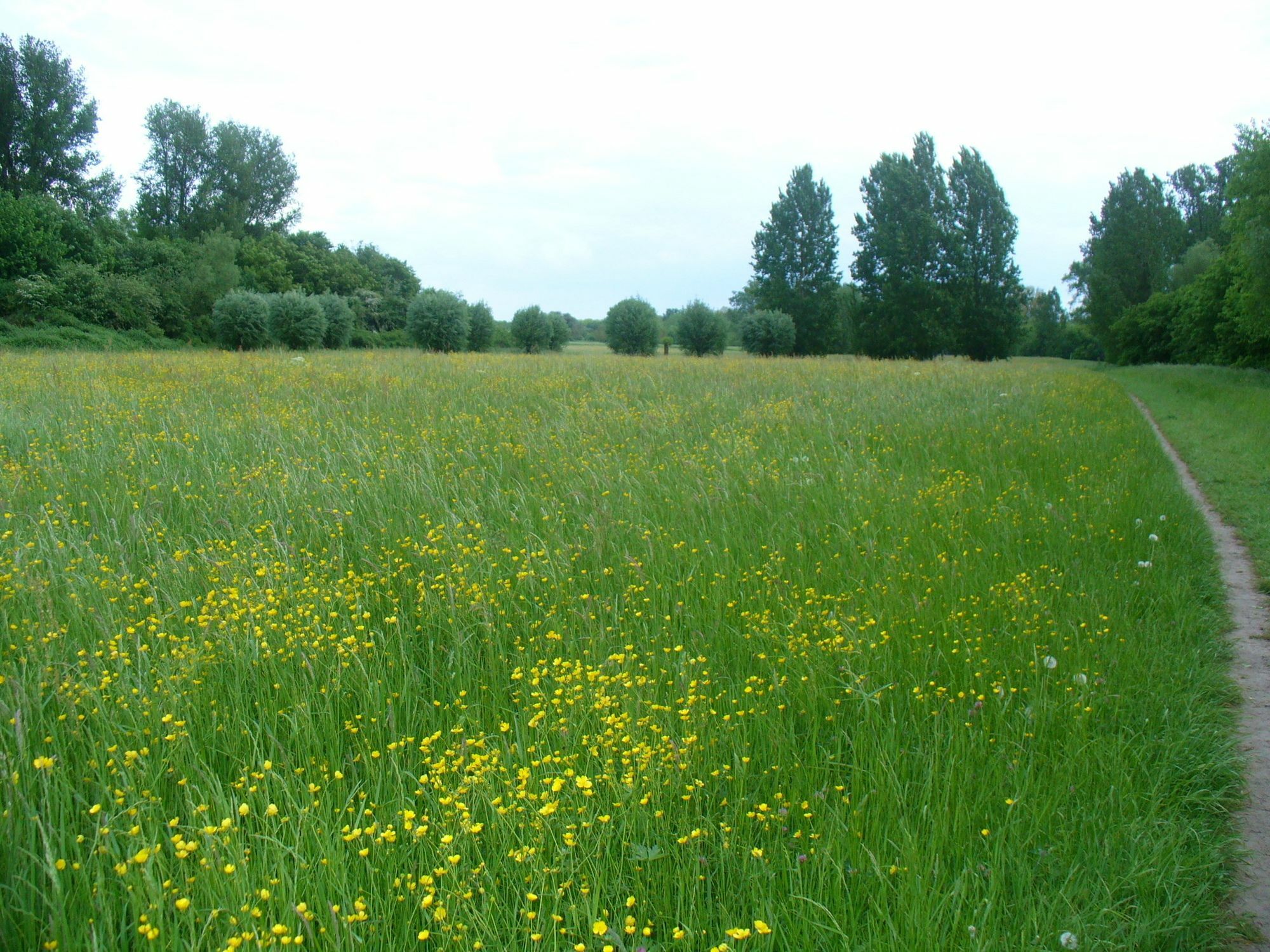 Appartement Rheinaue