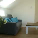 Ferienwohnung Rheinaue